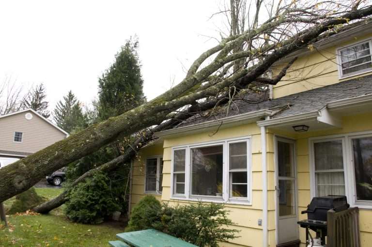 Fallen tree on a house roof causing severe damage, highlighting the need for emergency roof repair and storm restoration services.