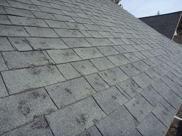 What Does Hail Damage on a Shingle Roof Look Like?